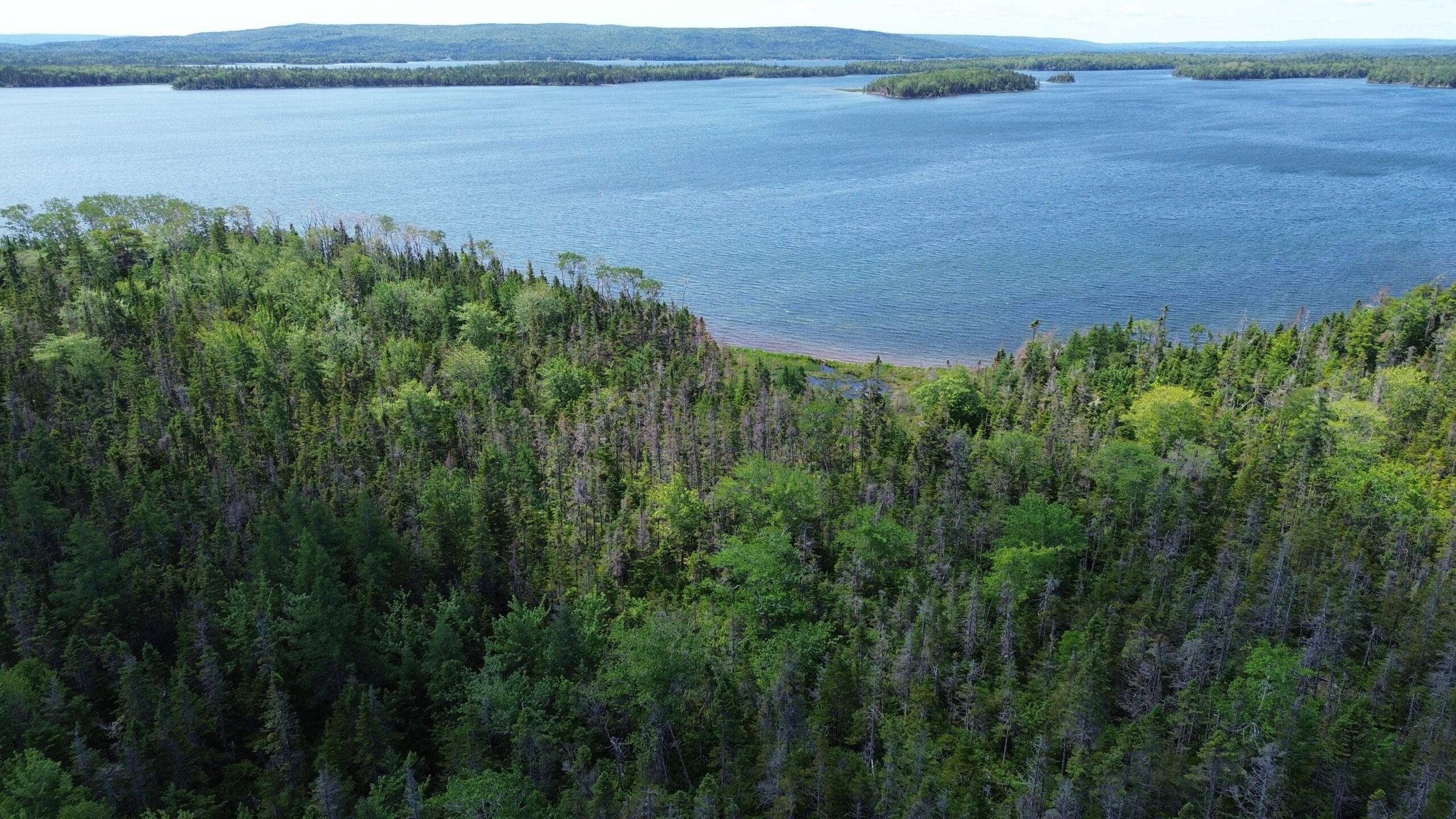Kennedy Cove North
