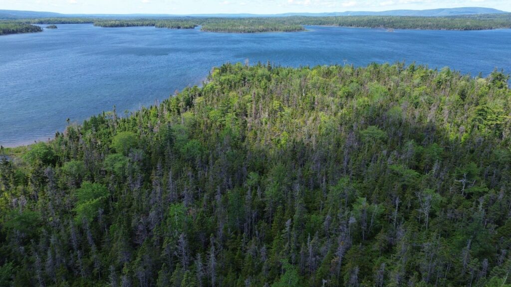 Kennedy Barachois – aerial drone view over Bras d'Or Lake, Kennedy Cove Estates