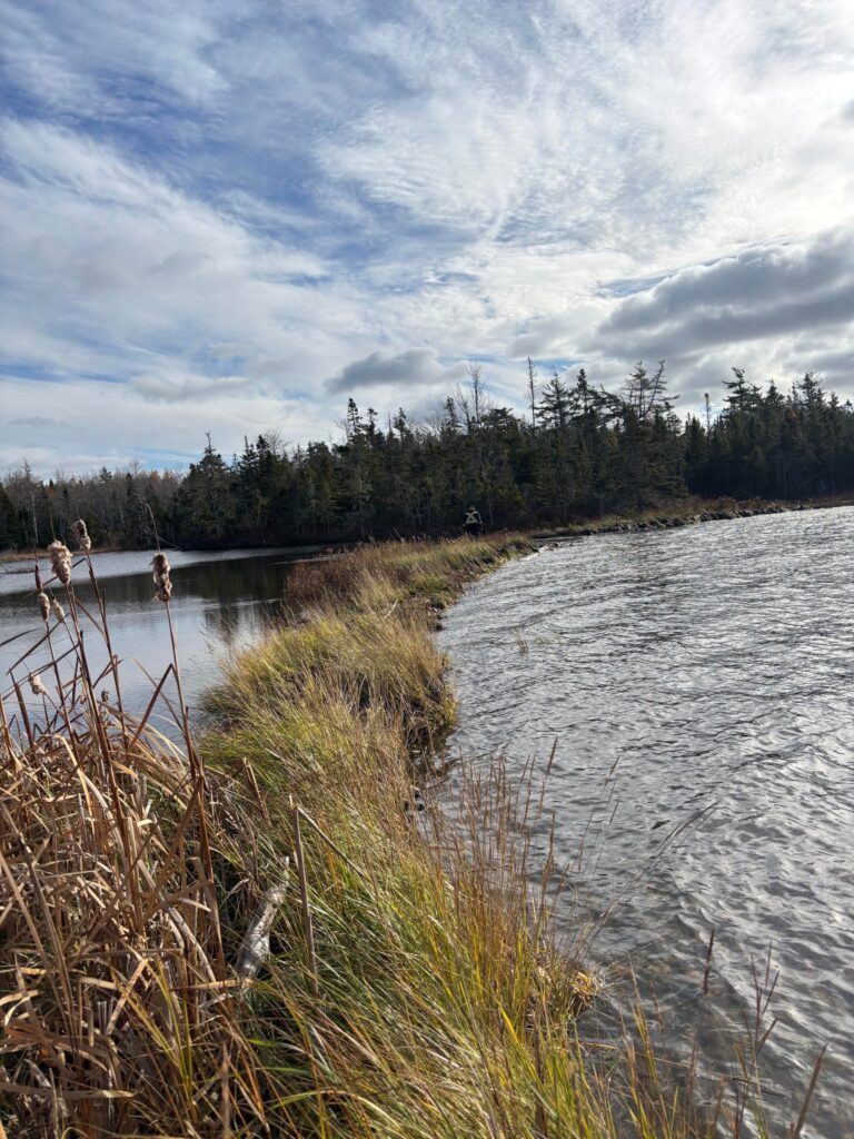 Kennedy Central South – Kennedy Cove Estates, Bras d'Or Lake, Cape Breton (2)