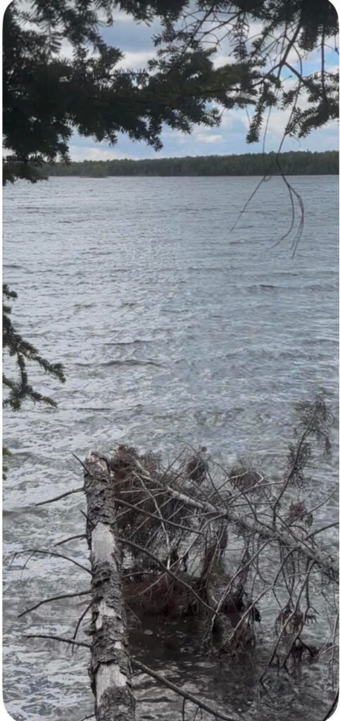 Kennedy Cove Nature & Landscape – Kennedy Cove Estates, Bras d'Or Lake, Cape Breton (11)