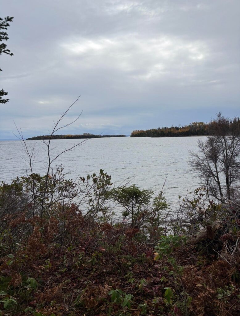 Kennedy Cove Nature & Landscape – Kennedy Cove Estates, Bras d'Or Lake, Cape Breton (13)
