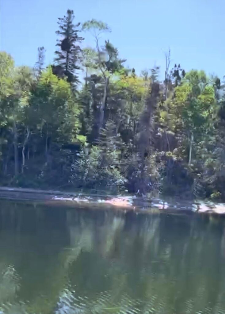 Kennedy Cove Nature & Landscape – Kennedy Cove Estates, Bras d'Or Lake, Cape Breton (15)