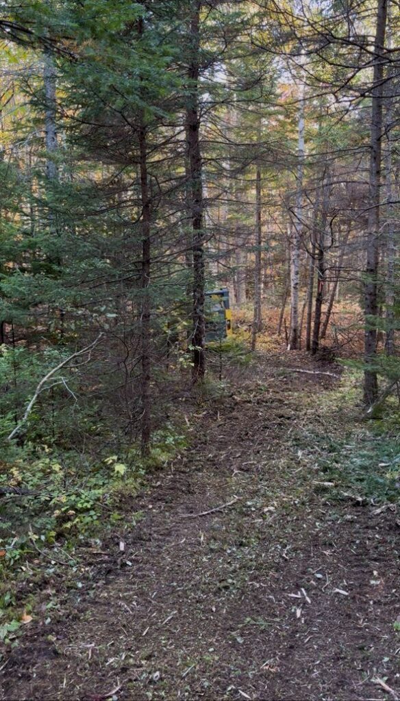 Kennedy Cove Nature & Landscape – Kennedy Cove Estates, Bras d'Or Lake, Cape Breton (4)