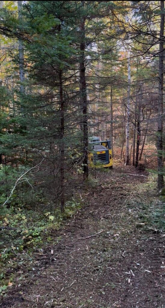 Kennedy Cove Nature & Landscape – Kennedy Cove Estates, Bras d'Or Lake, Cape Breton (6)