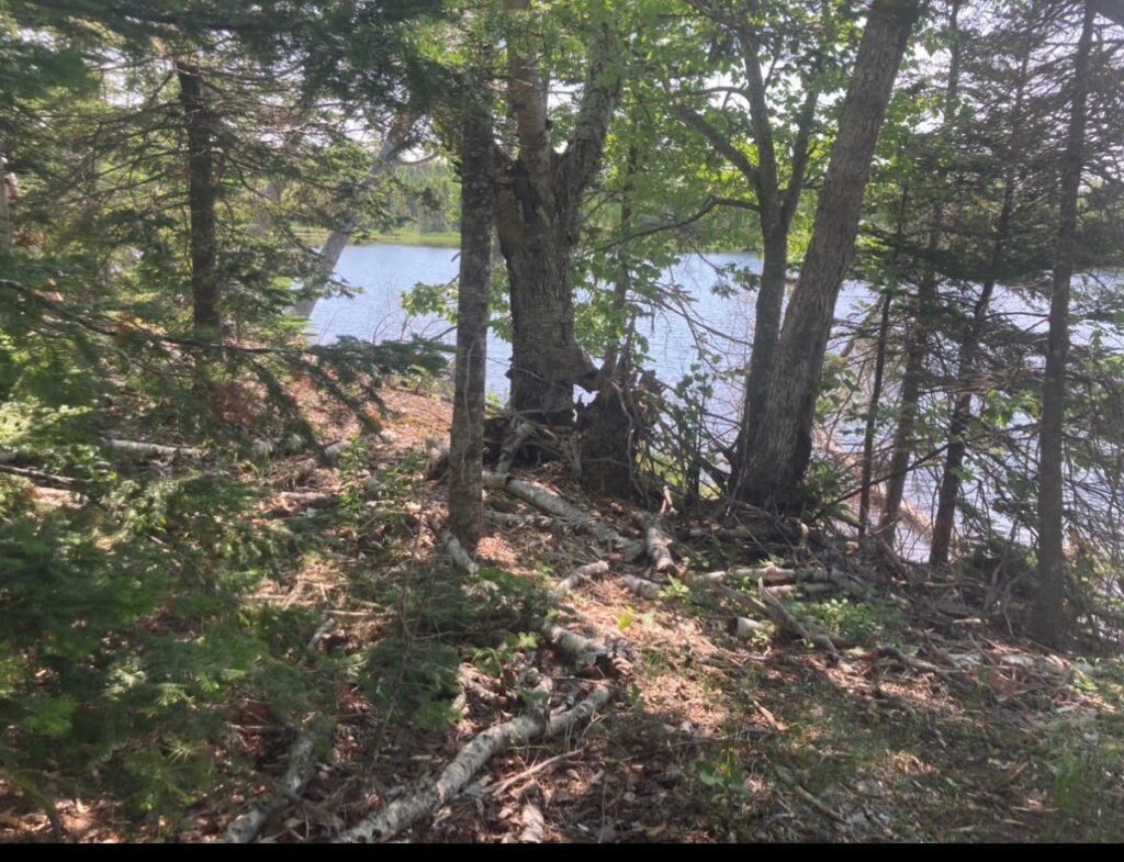 Kennedy Cove Nature & Landscape – Kennedy Cove Estates, Bras d'Or Lake, Cape Breton (8)