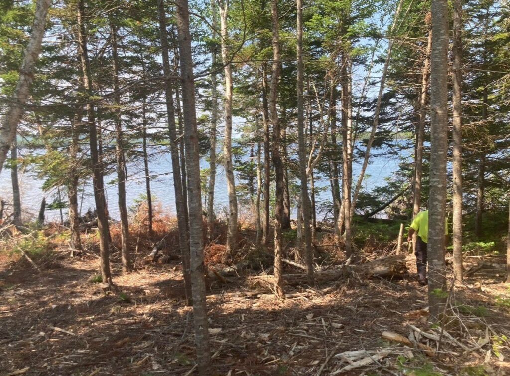 Kennedy Cove Nature & Landscape – Kennedy Cove Estates, Bras d'Or Lake, Cape Breton (9)