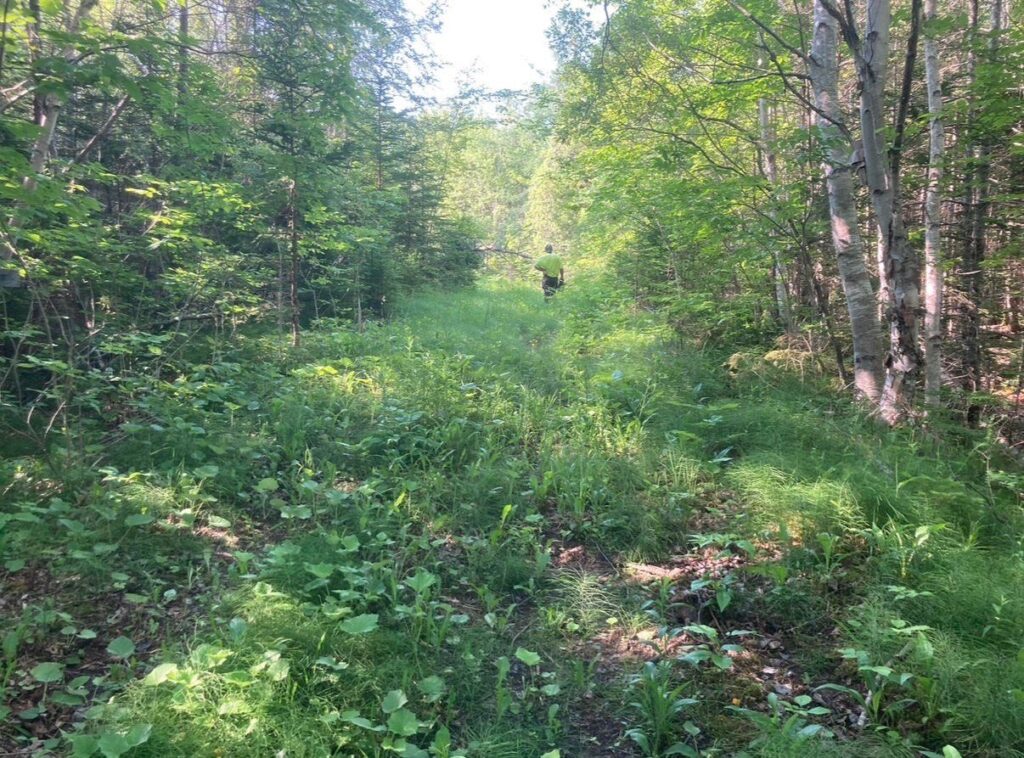 Kennedy Cove North – Kennedy Cove Estates, Bras d'Or Lake, Cape Breton (5)