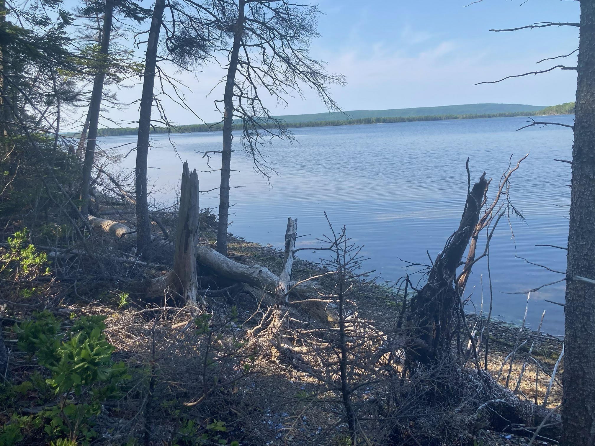 Kennedy Cove North