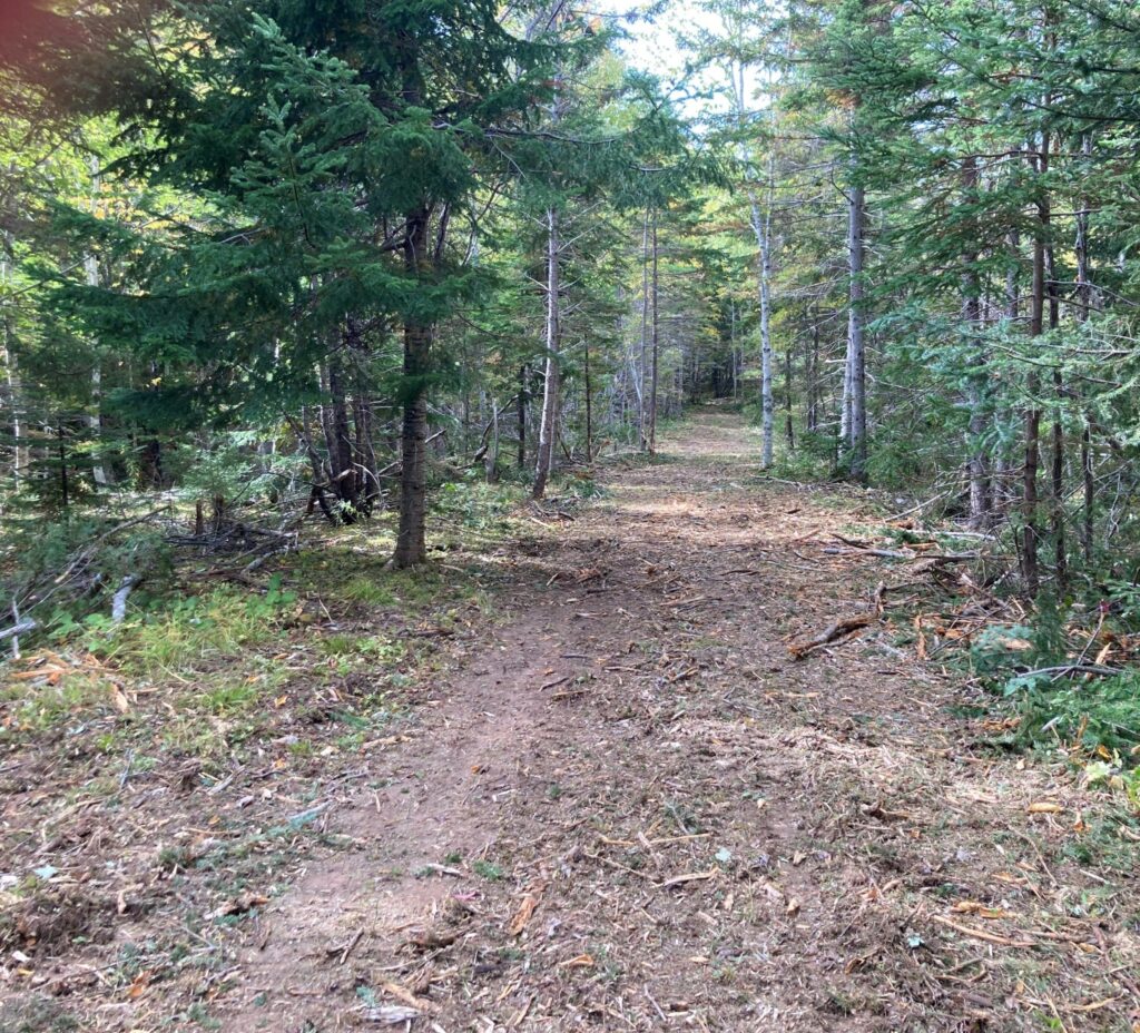 Kennedy Cove Pre-Development – Kennedy Cove Estates, Bras d'Or Lake, Cape Breton (1)