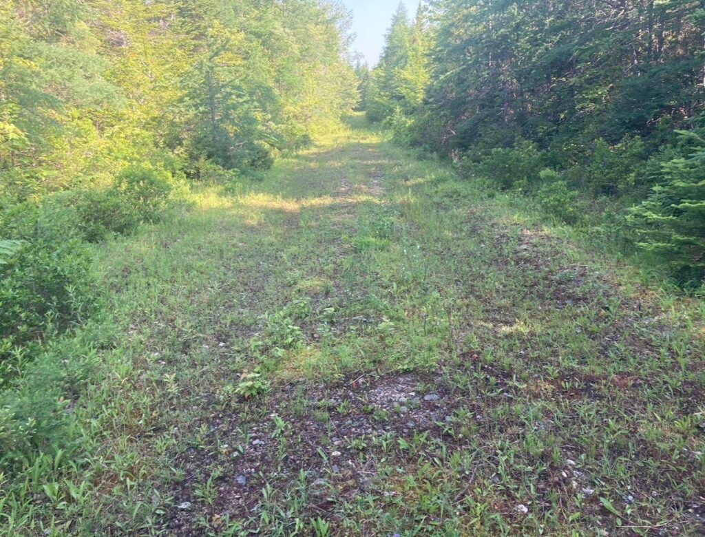 Kennedy Cove Pre-Development – Kennedy Cove Estates, Bras d'Or Lake, Cape Breton (3)