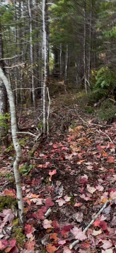Kennedy Point – Kennedy Cove Estates, Bras d'Or Lake, Cape Breton (10)