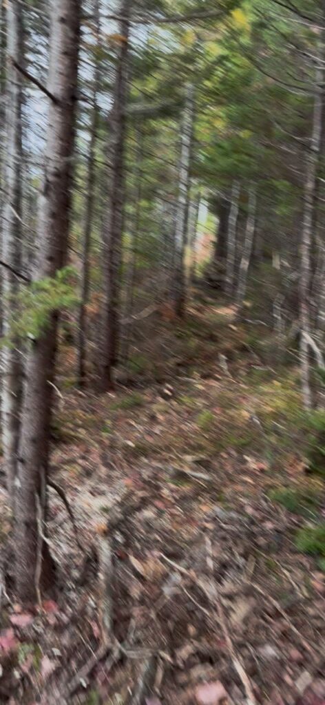 Kennedy Point – Kennedy Cove Estates, Bras d'Or Lake, Cape Breton (8)