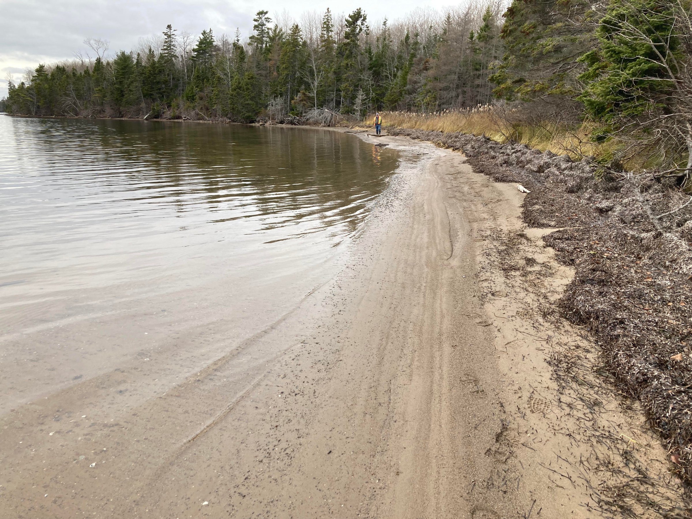 Natural shoreline at Kennedy Cove Estates